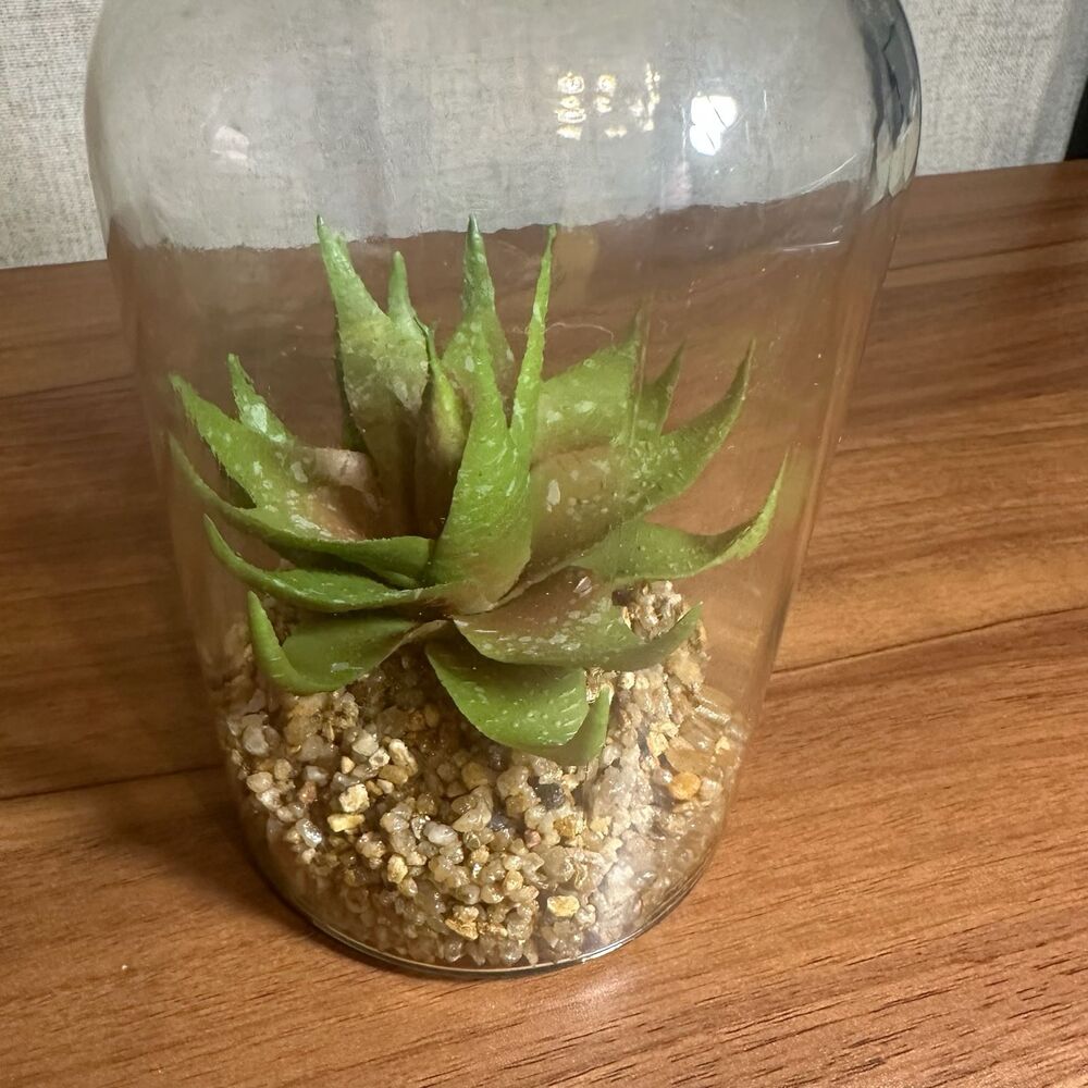 Faux Succulent Plant in Glass Terrarium - Picture 4 of 6
